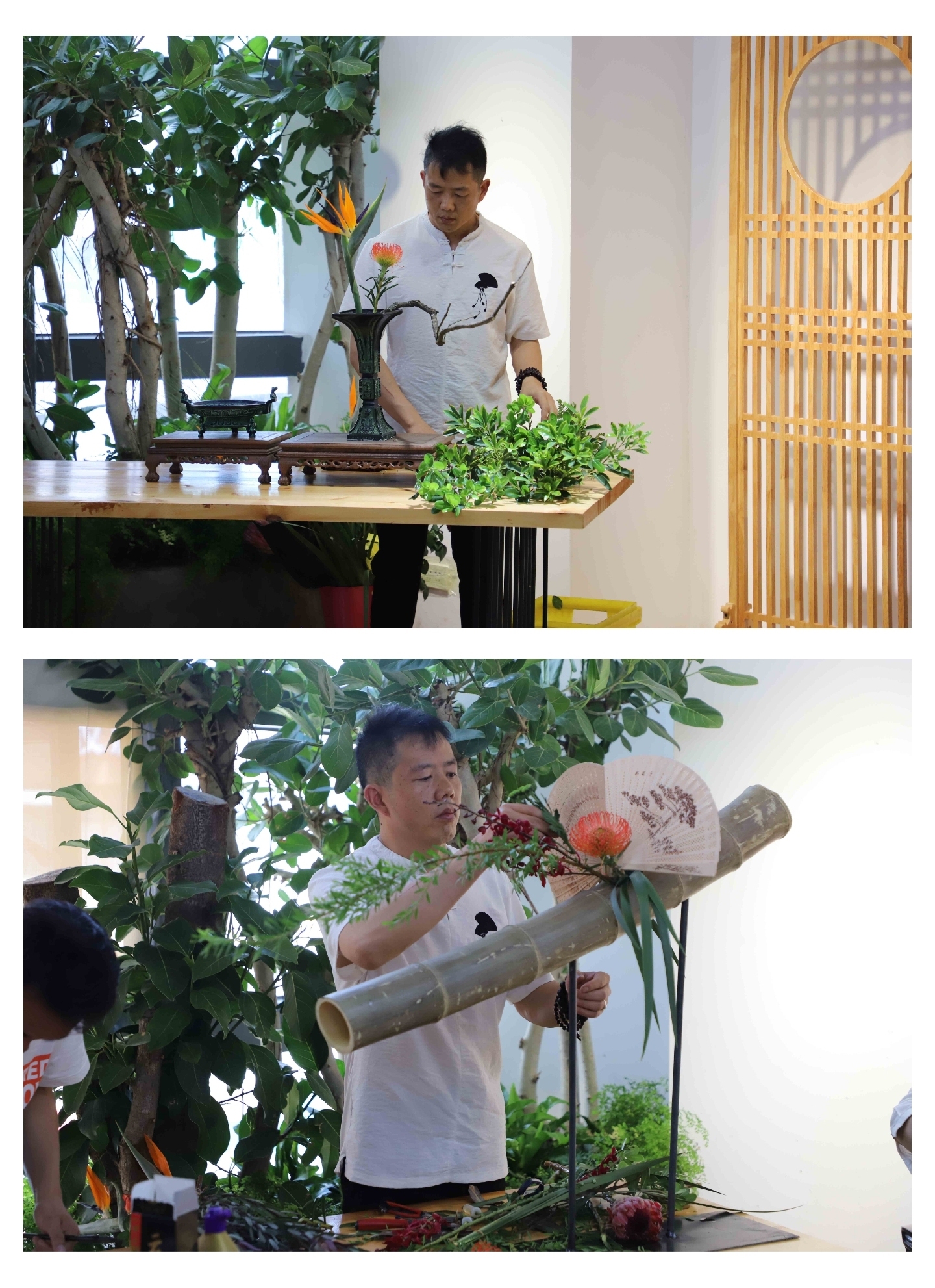 杨丽萍艺术 粉丝线下活动 中式插花diy 杨丽萍艺术 粉丝线下活动 中式插花diy